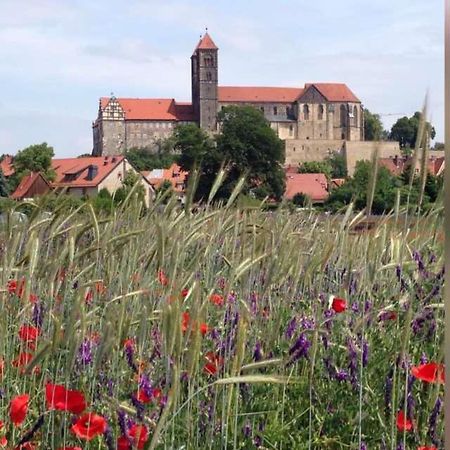 Ferienhaus Harzvorland Ballenstedt Eksteriør billede