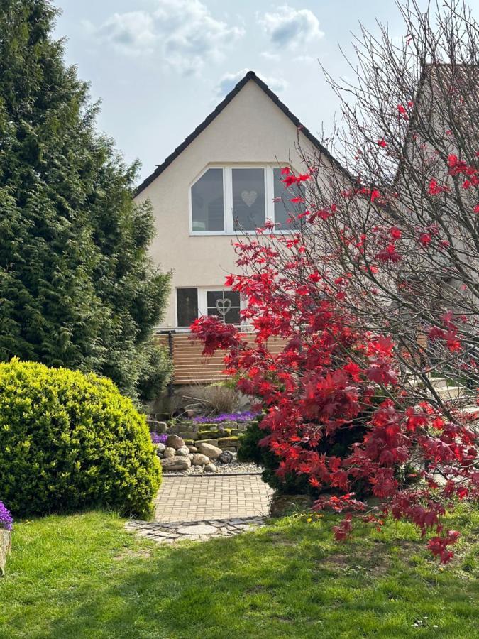 Ferienhaus Harzvorland Ballenstedt Eksteriør billede